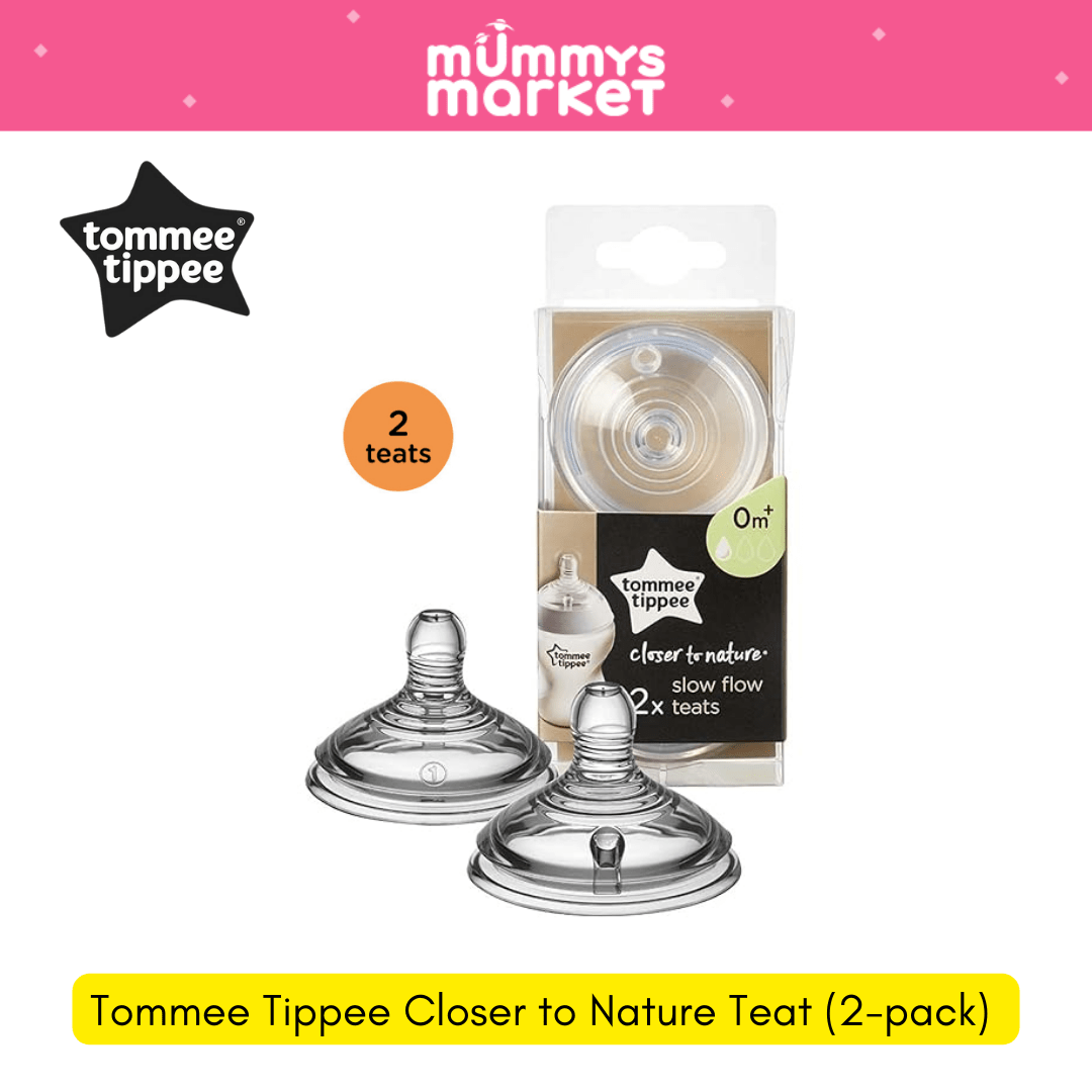 Tommee Tippee Closer to Nature Teat (2-pack)